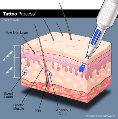    Tattoo  on Tattoo Process 1